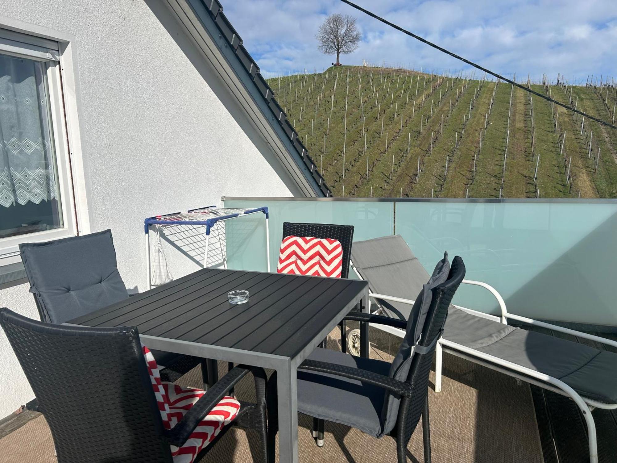 Gaestehaus Sommertal Mit Pool Im Garten, Eigener Parkplatz, 800M Zum Bodensee, 300M Zur Altstadt Меерсбург Экстерьер фото